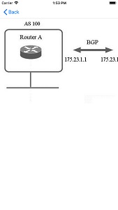 iOS Apps for for CCNP ENARSI 300-410 Practice Exam Img 5